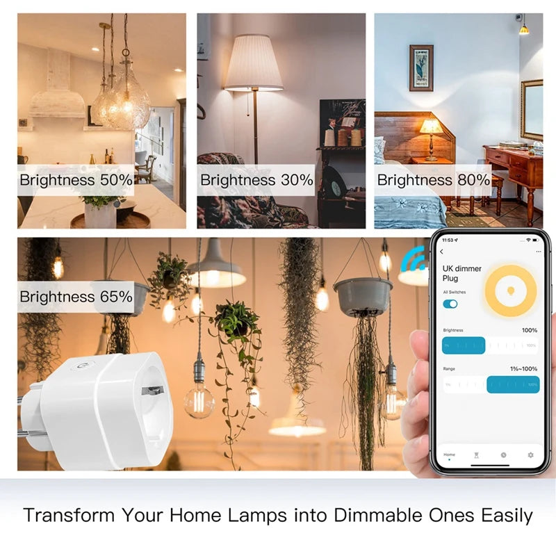 Wifi Smart Socket Brightness Adjust Timer Socket For Tuya Smart Life App,Amazon Alexa Google Assistant Voice Control EU Plug